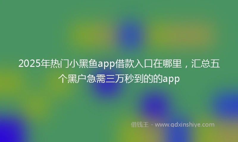 2025年热门小黑鱼app借款入口在哪里，汇总五个黑户急需三万秒到的的app