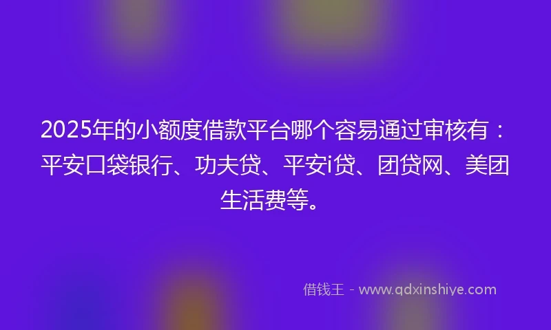 2025年的小额度借款平台哪个容易通过审核有：平安口袋银行、功夫贷、平安i贷、团贷网、美团生活费等。