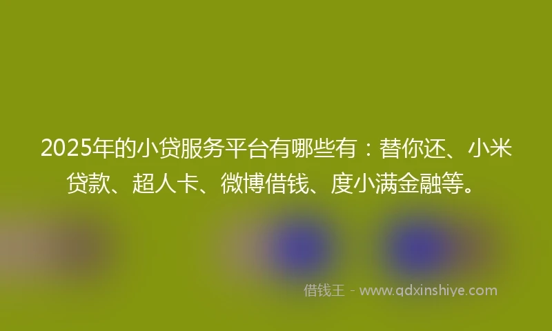 2025年的小贷服务平台有哪些有：替你还、小米贷款、超人卡、微博借钱、度小满金融等。
