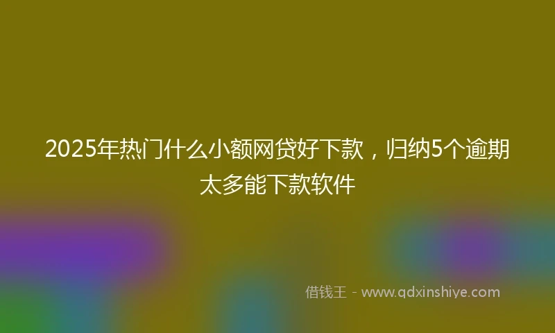2025年热门什么小额网贷好下款，归纳5个逾期太多能下款软件
