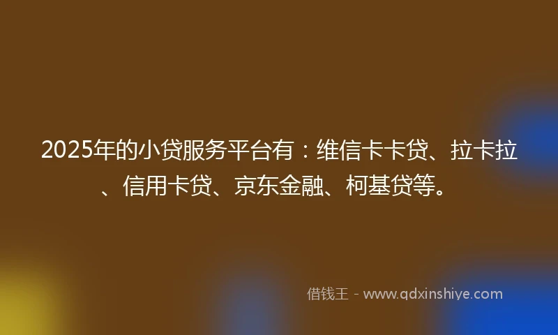 2025年的小贷服务平台有：维信卡卡贷、拉卡拉、信用卡贷、京东金融、柯基贷等。