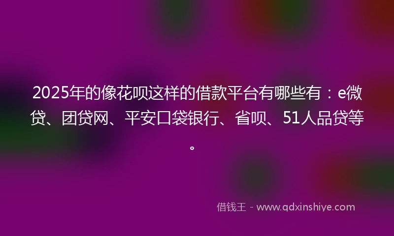 2025年的像花呗这样的借款平台有哪些有：e微贷、团贷网、平安口袋银行、省呗、51人品贷等。
