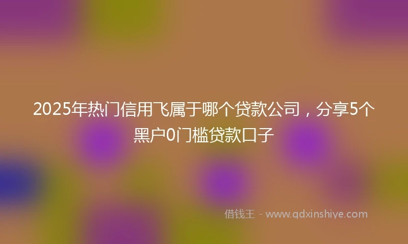 2025年热门信用飞属于哪个贷款公司，分享5个黑户0门槛贷款口子