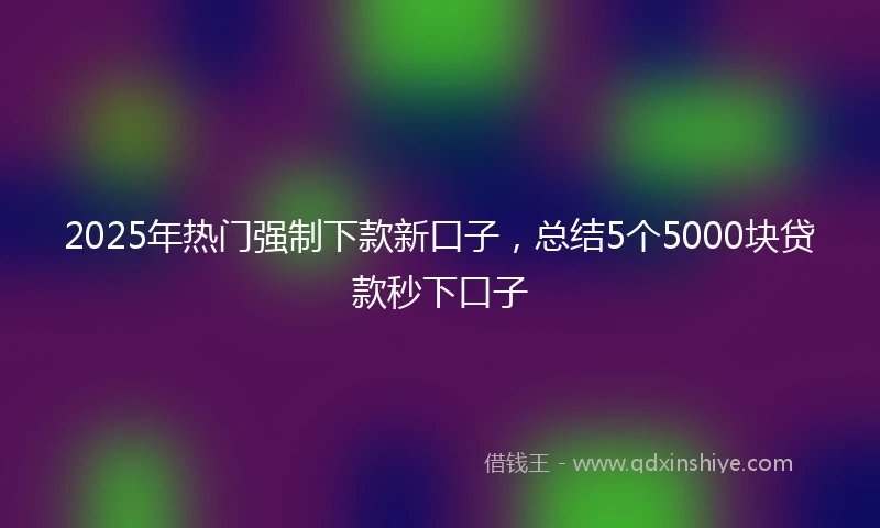 2025年热门强制下款新口子，总结5个5000块贷款秒下口子