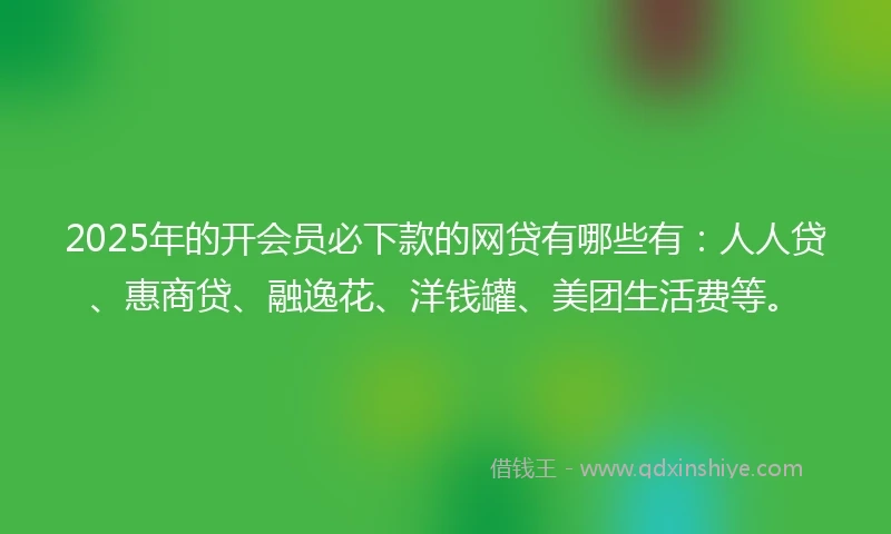 2025年的开会员必下款的网贷有哪些有：人人贷、惠商贷、融逸花、洋钱罐、美团生活费等。