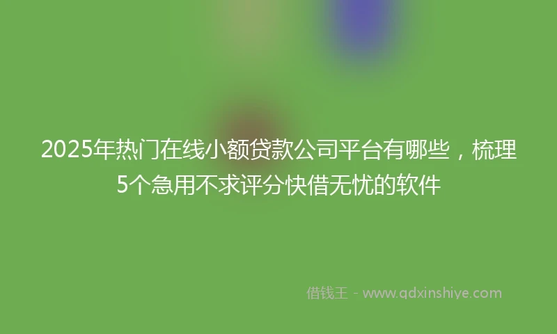 2025年热门在线小额贷款公司平台有哪些，梳理5个急用不求评分快借无忧的软件