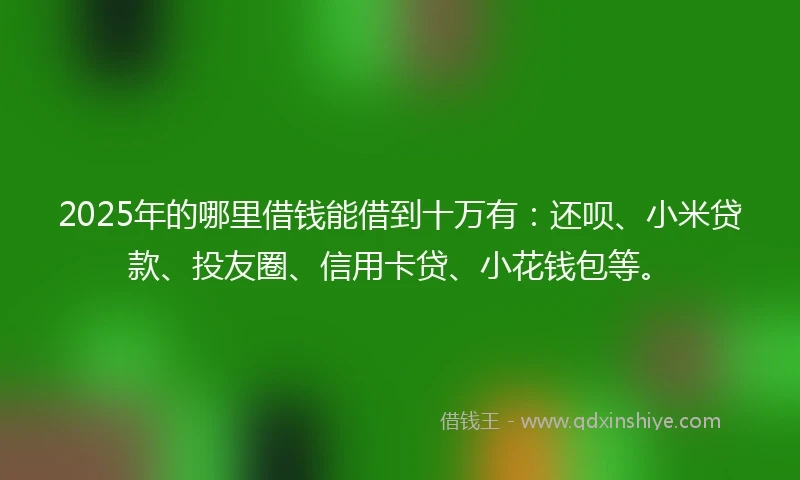 2025年的哪里借钱能借到十万有：还呗、小米贷款、投友圈、信用卡贷、小花钱包等。