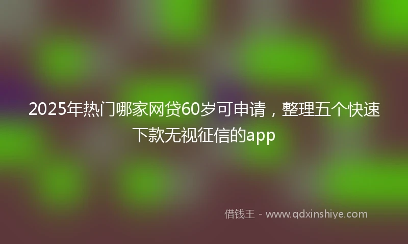2025年热门哪家网贷60岁可申请，整理五个快速下款无视征信的app