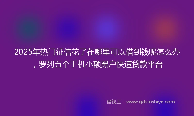 2025年热门征信花了在哪里可以借到钱呢怎么办，罗列五个手机小额黑户快速贷款平台