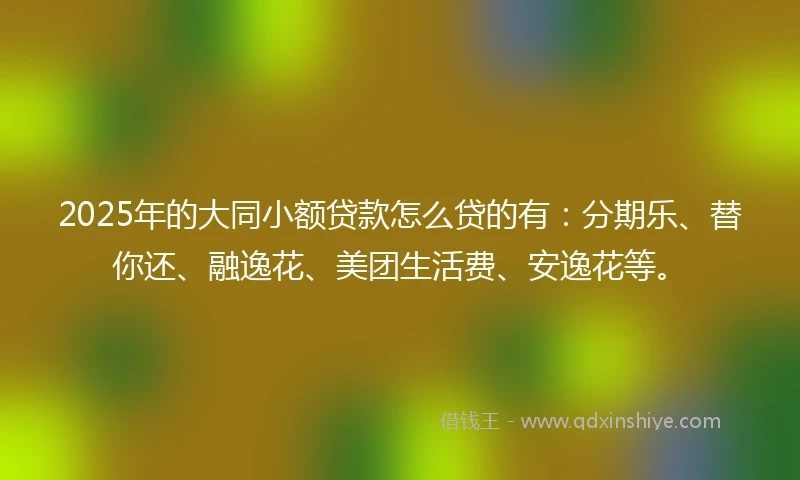 2025年的大同小额贷款怎么贷的有：分期乐、替你还、融逸花、美团生活费、安逸花等。