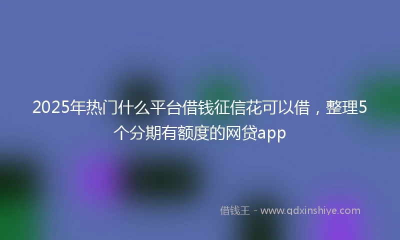2025年热门什么平台借钱征信花可以借，整理5个分期有额度的网贷app
