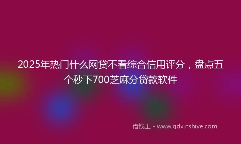 2025年热门什么网贷不看综合信用评分，盘点五个秒下700芝麻分贷款软件