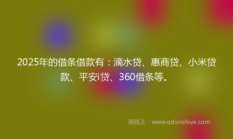 2025年的借条借款有：滴水贷、惠商贷、小米贷款、平安i贷、360借条等。