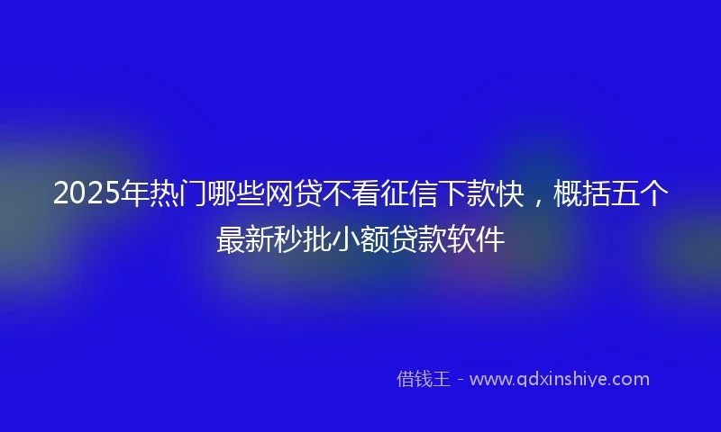 2025年热门哪些网贷不看征信下款快，概括五个最新秒批小额贷款软件