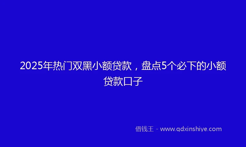 2025年热门双黑小额贷款，盘点5个必下的小额贷款口子