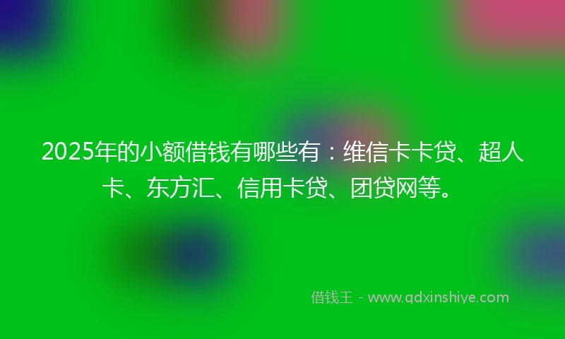 2025年的小额借钱有哪些有：维信卡卡贷、超人卡、东方汇、信用卡贷、团贷网等。