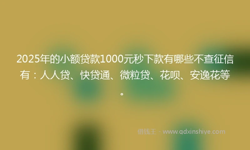 2025年的小额贷款1000元秒下款有哪些不查征信有：人人贷、快贷通、微粒贷、花呗、安逸花等。