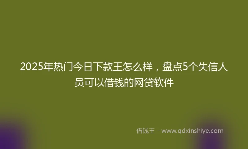 2025年热门今日下款王怎么样，盘点5个失信人员可以借钱的网贷软件