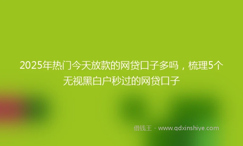 2025年热门今天放款的网贷口子多吗，梳理5个无视黑白户秒过的网贷口子