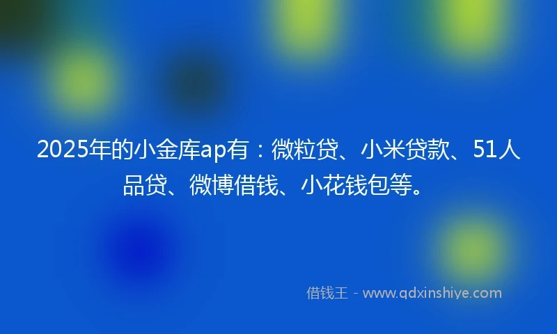 2025年的小金库ap有：微粒贷、小米贷款、51人品贷、微博借钱、小花钱包等。