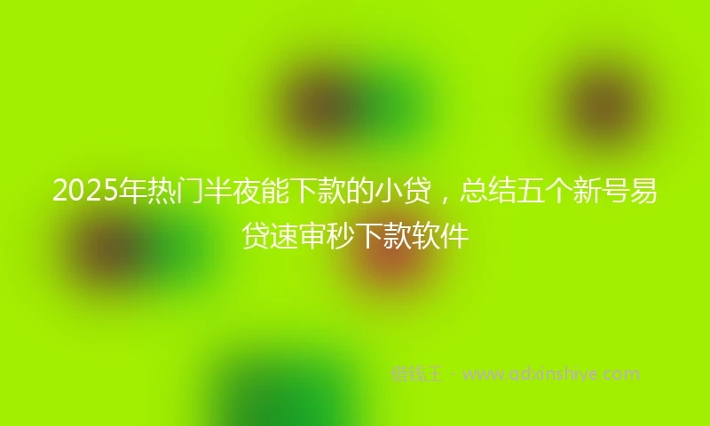 2025年热门半夜能下款的小贷，总结五个新号易贷速审秒下款软件