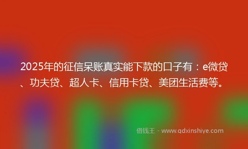 2025年的征信呆账真实能下款的口子有：e微贷、功夫贷、超人卡、信用卡贷、美团生活费等。