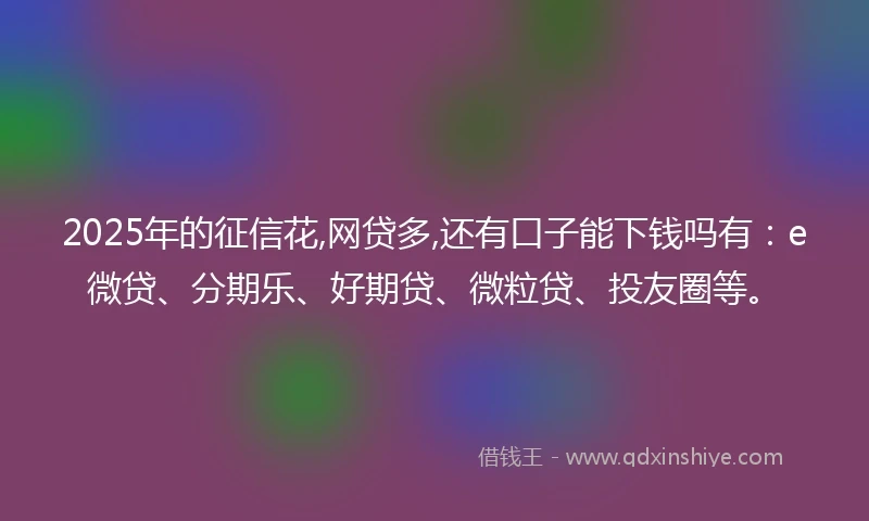 2025年的征信花,网贷多,还有口子能下钱吗有：e微贷、分期乐、好期贷、微粒贷、投友圈等。