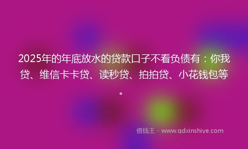 2025年的年底放水的贷款口子不看负债有：你我贷、维信卡卡贷、读秒贷、拍拍贷、小花钱包等。
