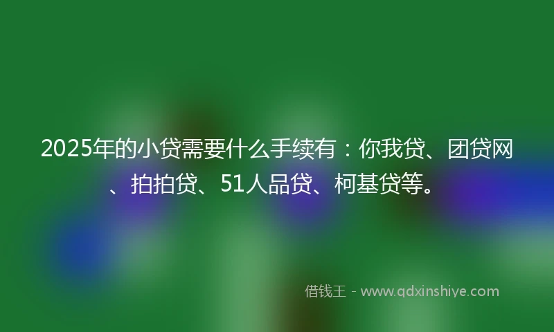 2025年的小贷需要什么手续有：你我贷、团贷网、拍拍贷、51人品贷、柯基贷等。