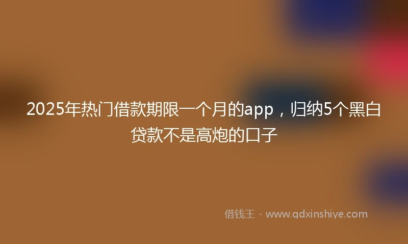 2025年热门借款期限一个月的app，归纳5个黑白贷款不是高炮的口子
