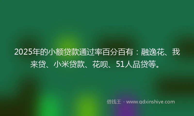 2025年的小额贷款通过率百分百有：融逸花、我来贷、小米贷款、花呗、51人品贷等。