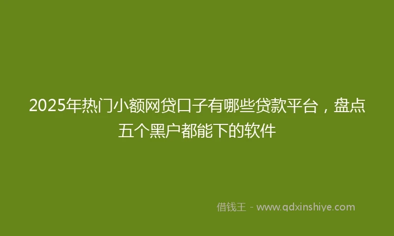 2025年热门小额网贷口子有哪些贷款平台，盘点五个黑户都能下的软件