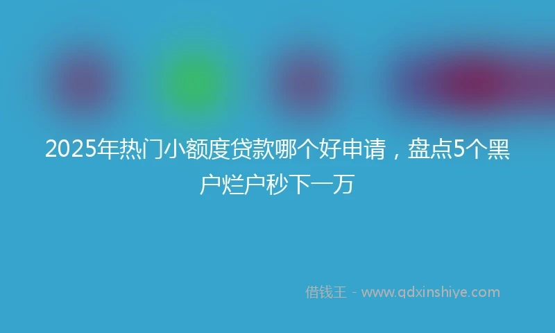 2025年热门小额度贷款哪个好申请，盘点5个黑户烂户秒下一万
