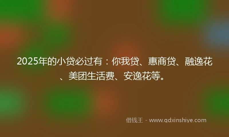 2025年的小贷必过有：你我贷、惠商贷、融逸花、美团生活费、安逸花等。