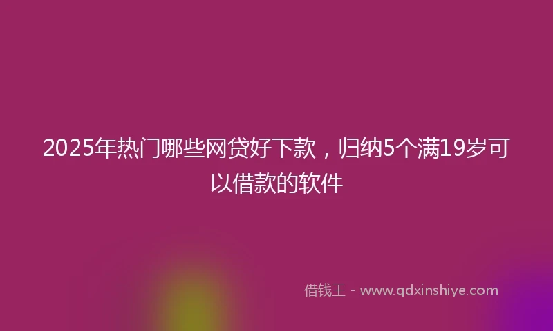 2025年热门哪些网贷好下款，归纳5个满19岁可以借款的软件