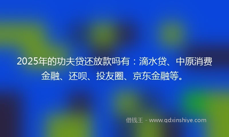 2025年的功夫贷还放款吗有：滴水贷、中原消费金融、还呗、投友圈、京东金融等。