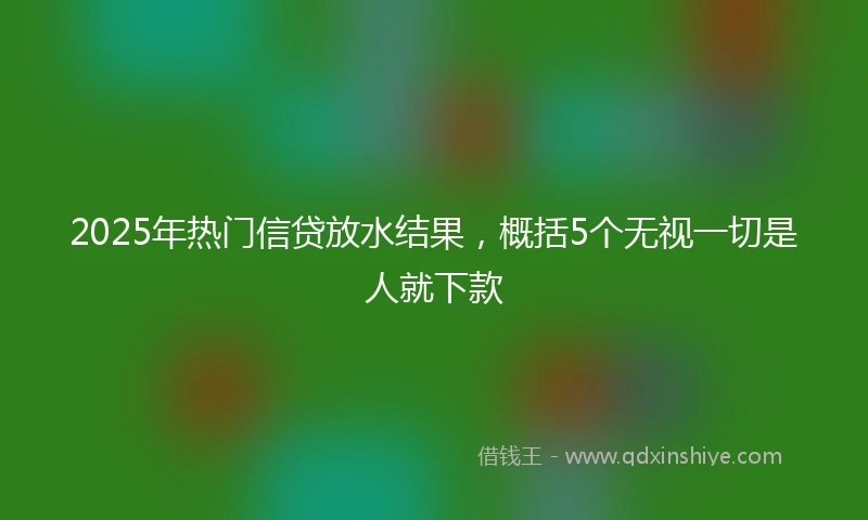 2025年热门信贷放水结果，概括5个无视一切是人就下款