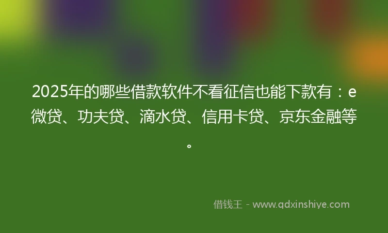 2025年的哪些借款软件不看征信也能下款有：e微贷、功夫贷、滴水贷、信用卡贷、京东金融等。