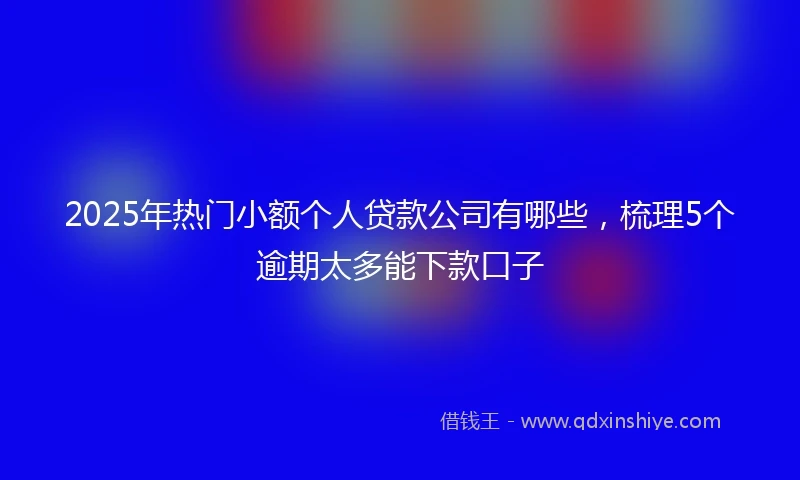 2025年热门小额个人贷款公司有哪些，梳理5个逾期太多能下款口子