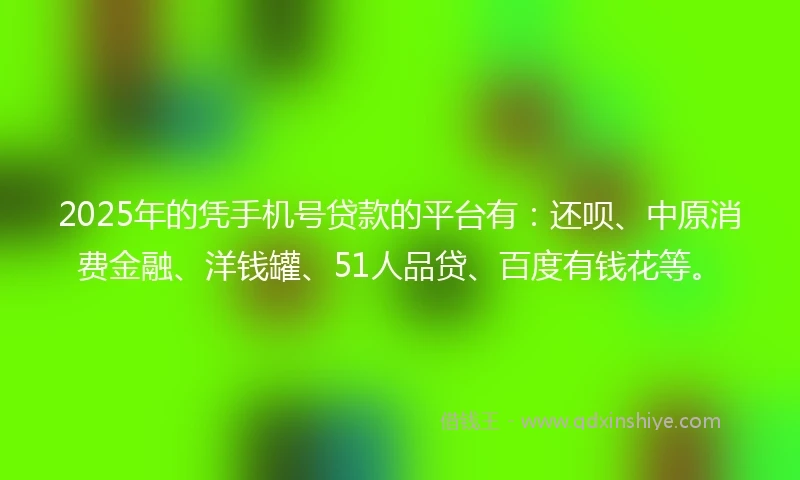2025年的凭手机号贷款的平台有：还呗、中原消费金融、洋钱罐、51人品贷、百度有钱花等。