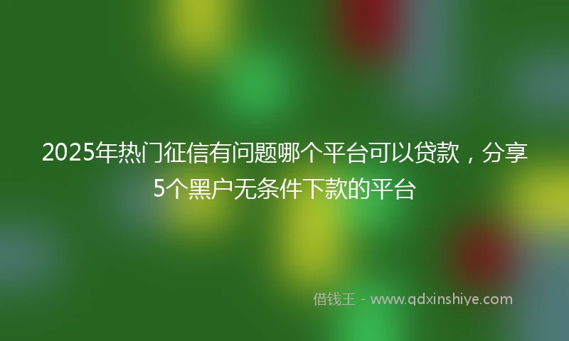 2025年热门征信有问题哪个平台可以贷款，分享5个黑户无条件下款的平台