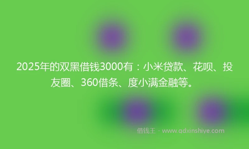 2025年的双黑借钱3000有：小米贷款、花呗、投友圈、360借条、度小满金融等。