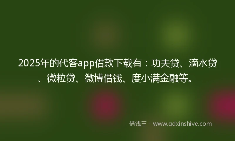 2025年的代客app借款下载有：功夫贷、滴水贷、微粒贷、微博借钱、度小满金融等。