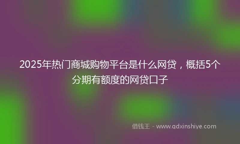 2025年热门商城购物平台是什么网贷，概括5个分期有额度的网贷口子