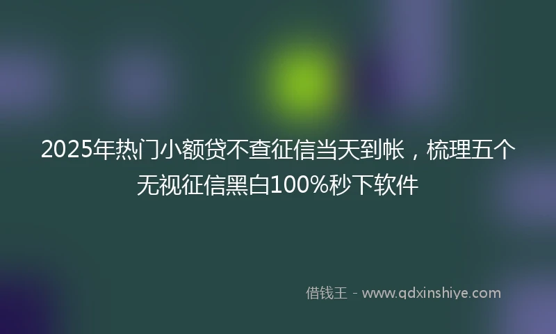 2025年热门小额贷不查征信当天到帐，梳理五个无视征信黑白100%秒下软件