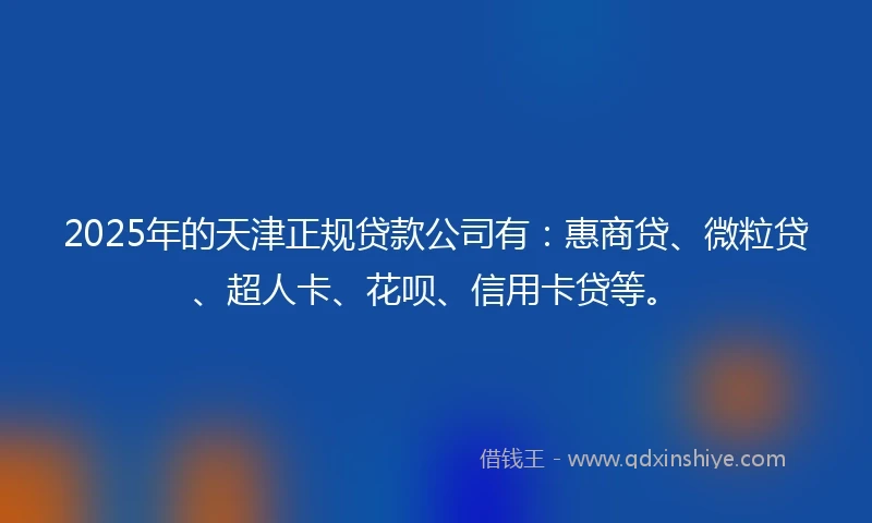 2025年的天津正规贷款公司有：惠商贷、微粒贷、超人卡、花呗、信用卡贷等。