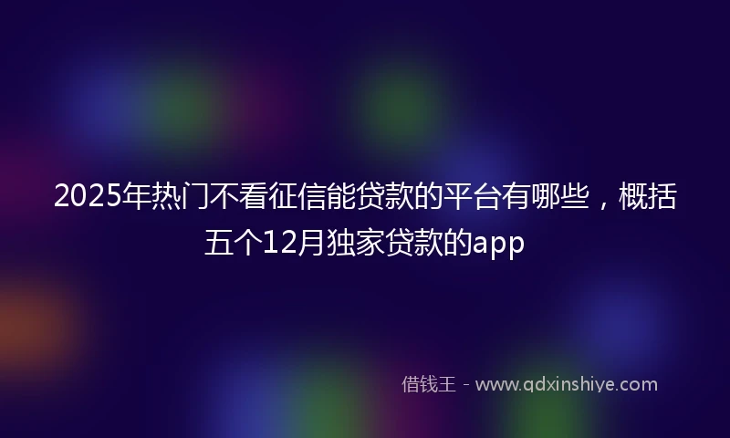 2025年热门不看征信能贷款的平台有哪些，概括五个12月独家贷款的app