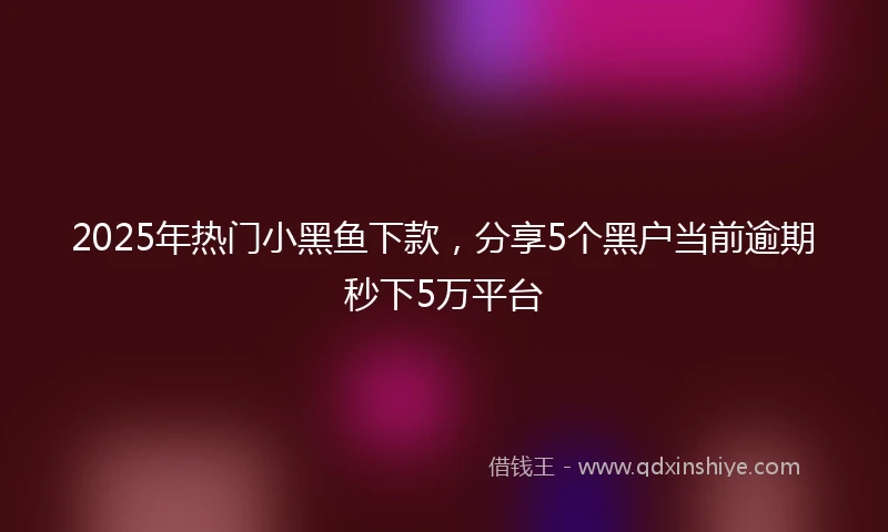 2025年热门小黑鱼下款，分享5个黑户当前逾期秒下5万平台