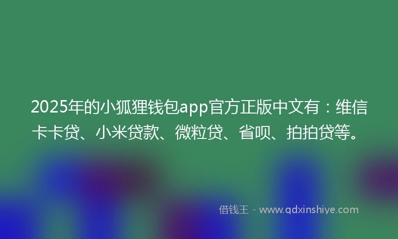 2025年的小狐狸钱包app官方正版中文有：维信卡卡贷、小米贷款、微粒贷、省呗、拍拍贷等。