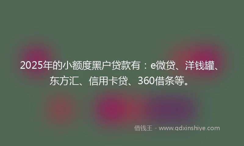2025年的小额度黑户贷款有：e微贷、洋钱罐、东方汇、信用卡贷、360借条等。